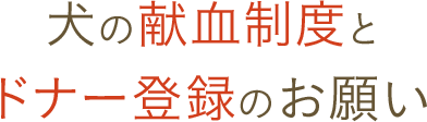 犬の献血制度とドナー登録のお願い