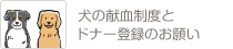 犬の献血制度とドナー登録のお願い