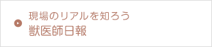 現場のリアルを知ろう　獣医師日報