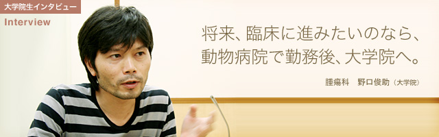 将来、臨床に進みたいのなら、動物病院で勤務後、大学院へ。